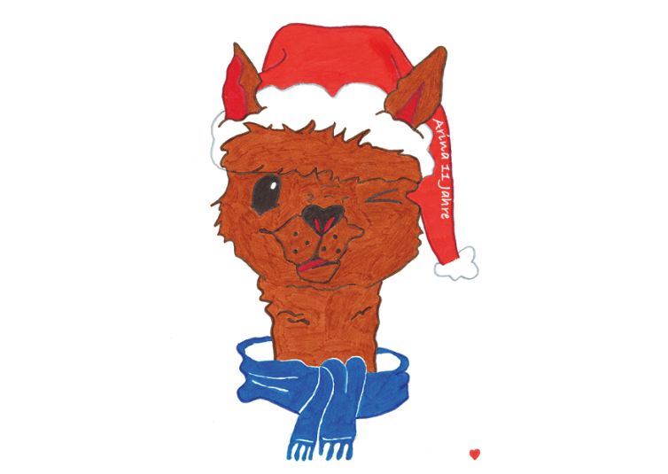 FoeVe Weihnachten 2024 Arina 11 84a919a3