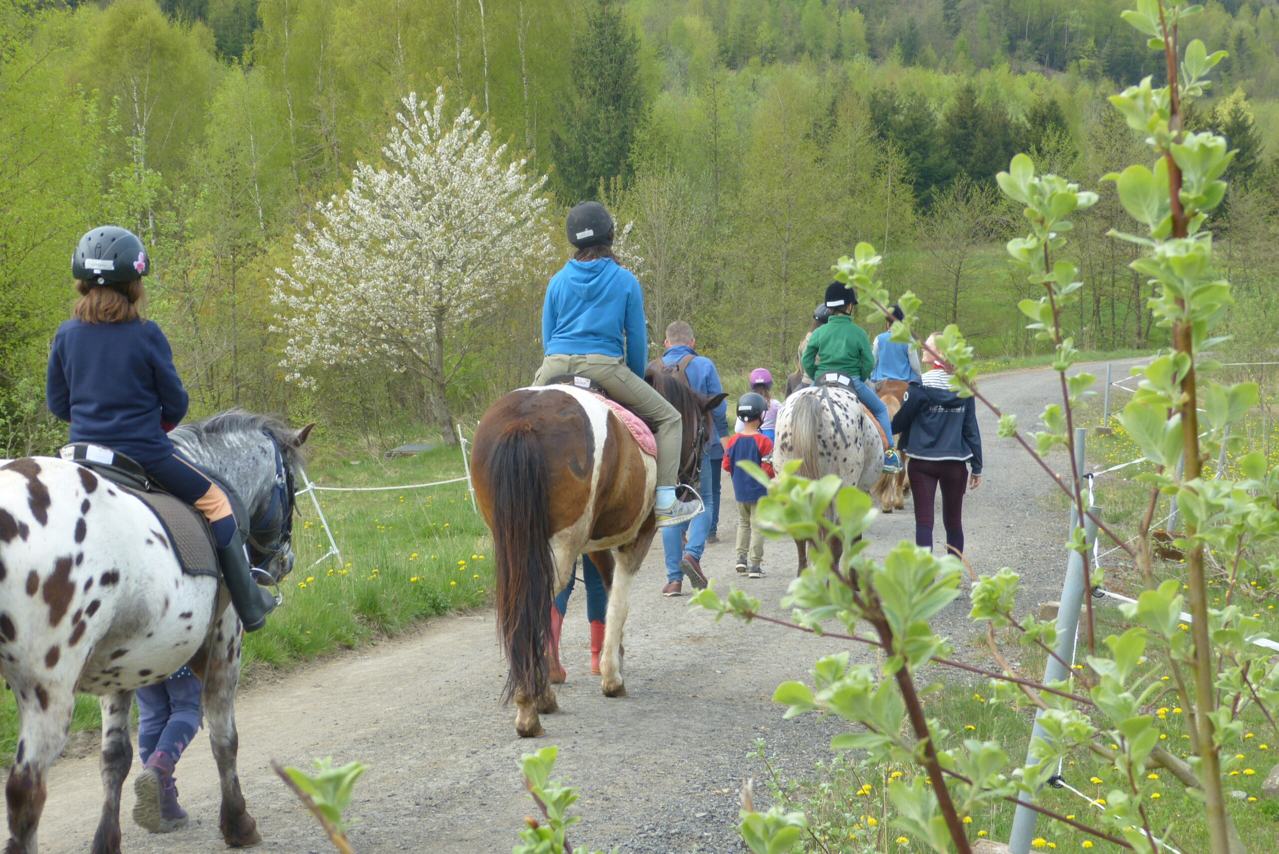 Nachsorge Reiterfreizeit 1 scaled
