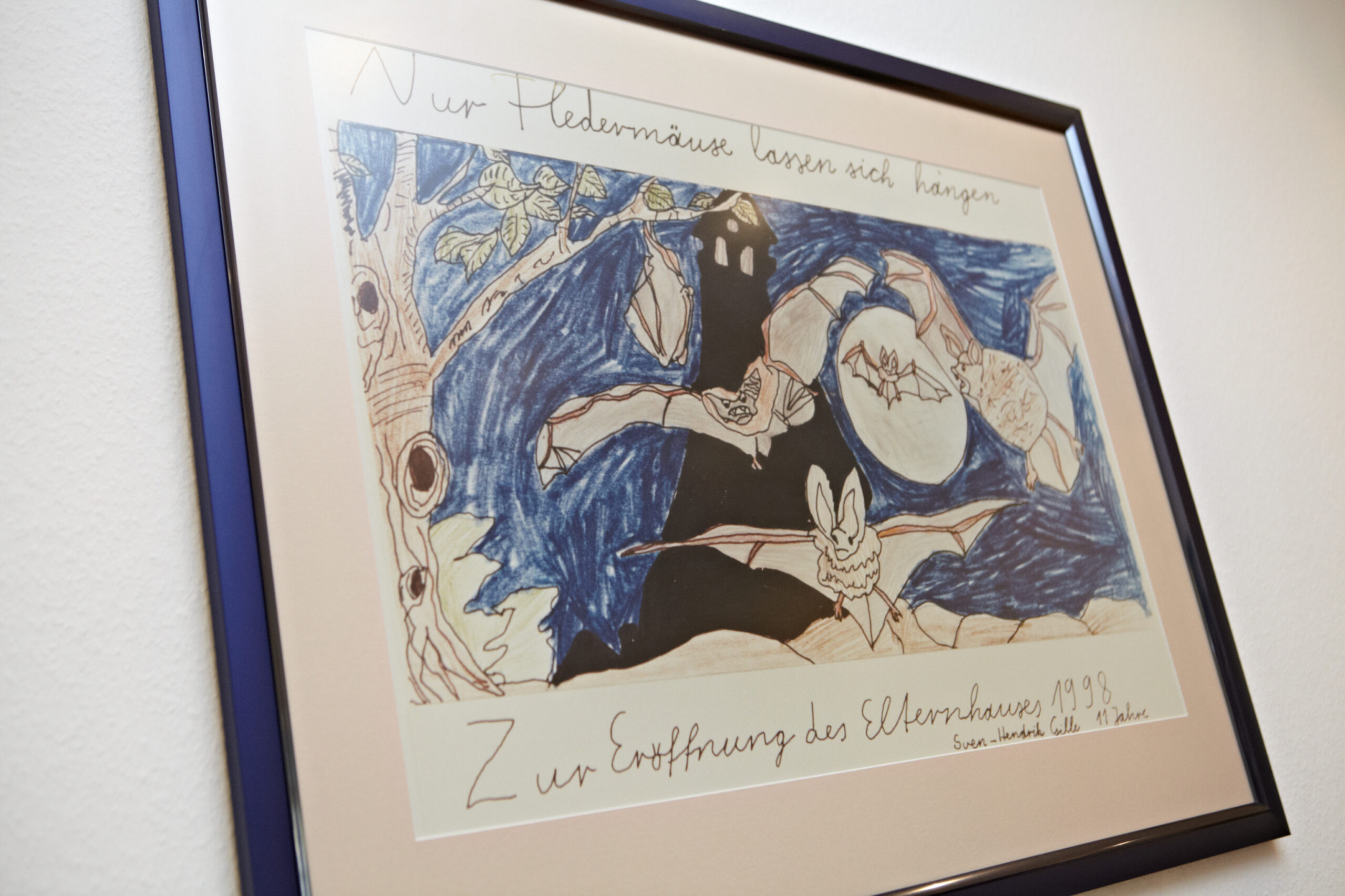 mitgliederzeitschrift fledermaus scaled